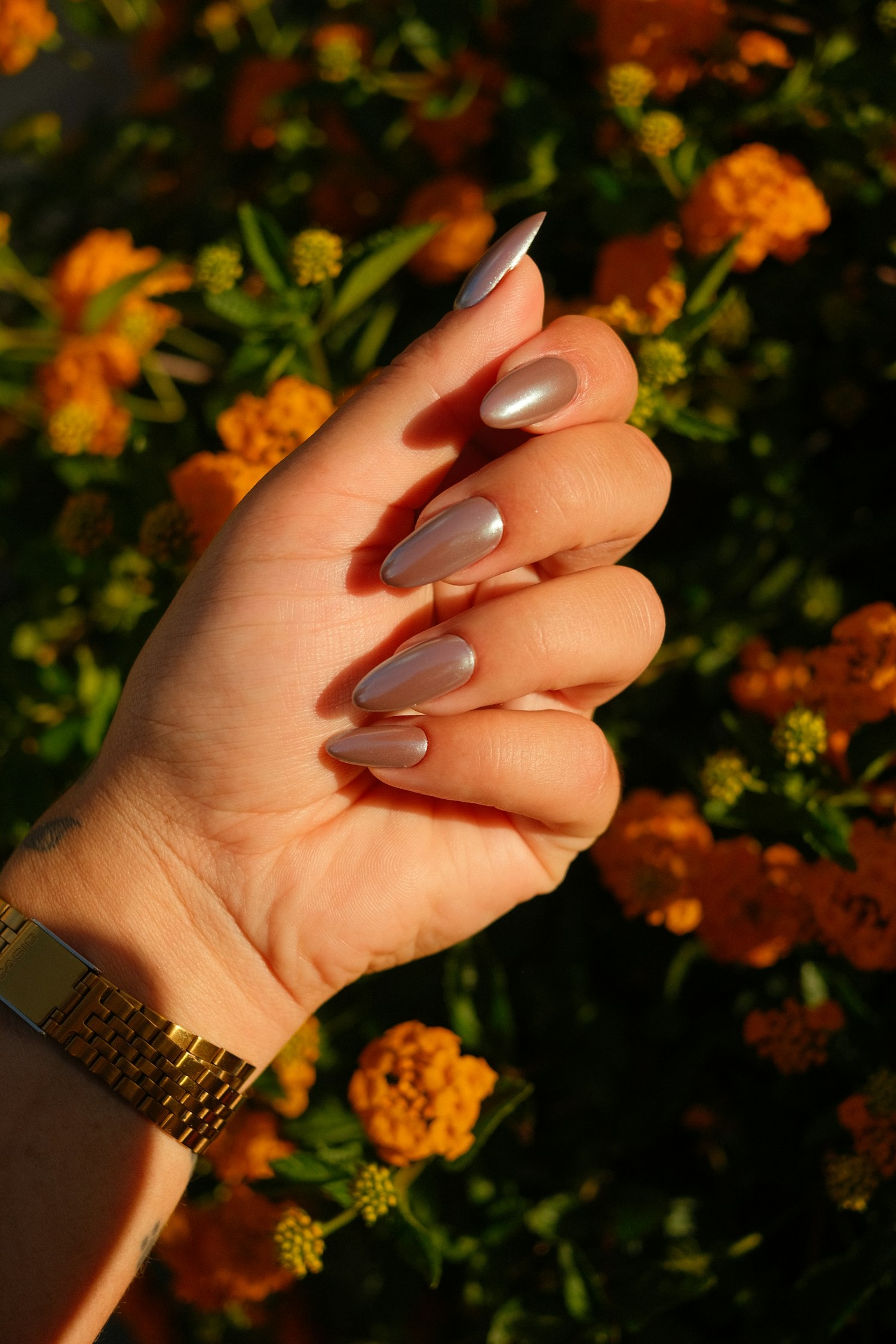 Hand with manicured nails holding flowers